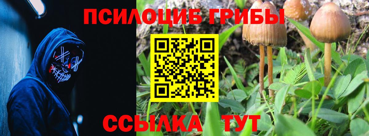 Псилоцибиновые грибы GOLDEN TEACHER  как найти закладки  Можайск  Псилоцибиновые грибы GOLDEN TEACHER  Вход с VPN 